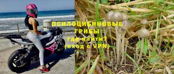 а пвп мука Корсаков