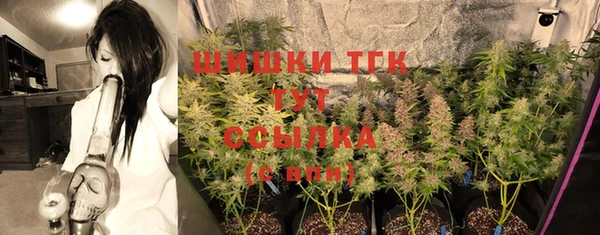 амф Коряжма